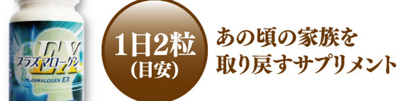 �v���Y�}���[�Q��EX ����Ґ�p�T�v�������g1���T�C�g